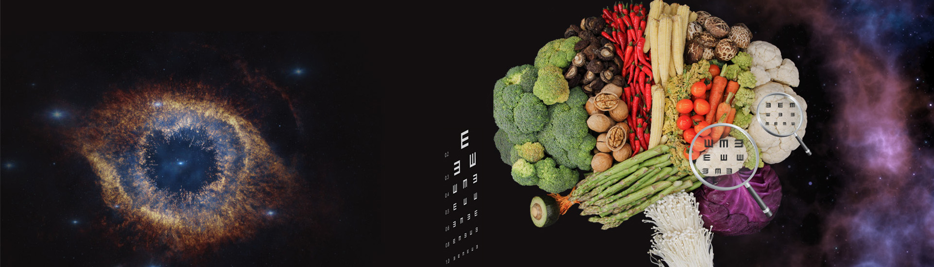 中科院腦智卓越中心揭示靈長類大腦精細視覺編碼的新機制